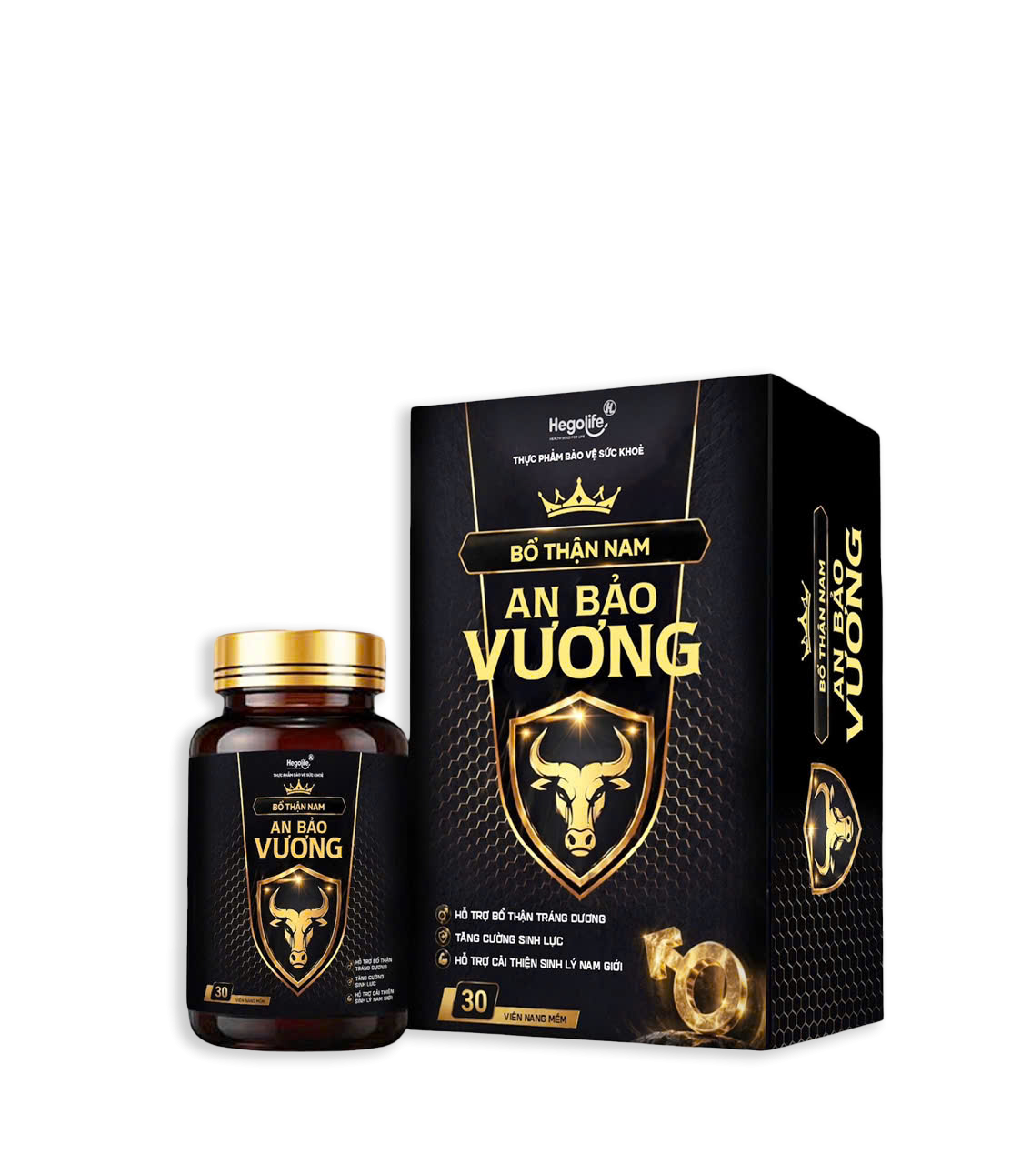 Bổ Thận Nam An Vương